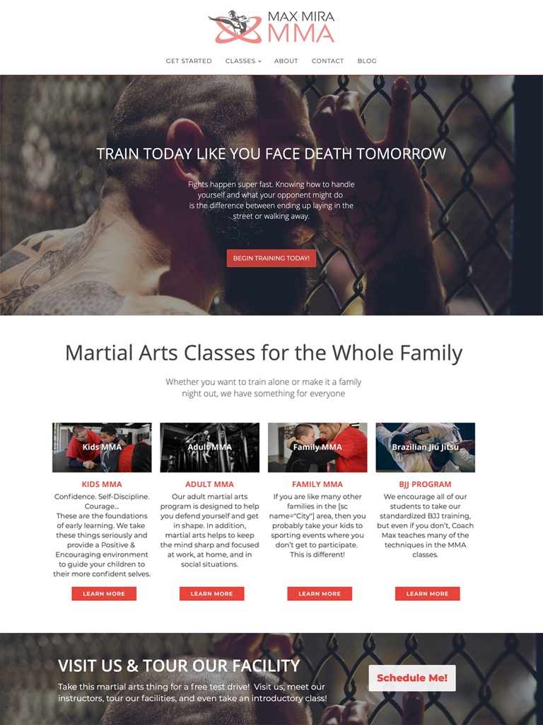 Custom Martial Arts Website Design Martial Arts Websites Web Design